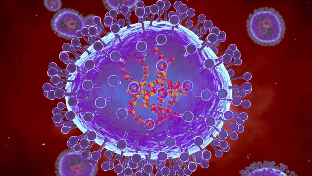Dampak Virus HMPV