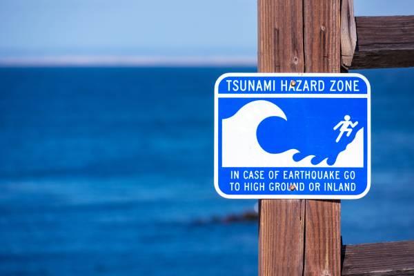 Tsunami damage japan 2025